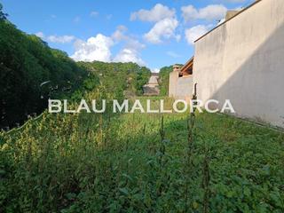 Rural plot in Sant Llorenç des Cardassar. Solar urbano en son carriã