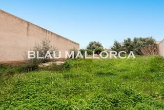 Rural plot in Sant Llorenç des Cardassar. Solar edificable, zona tranquila, en san llorenã des cardassar
