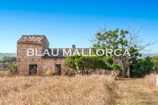 Bauernhof in Manacor Centre. Finca con casa para reformar cerca de manacor