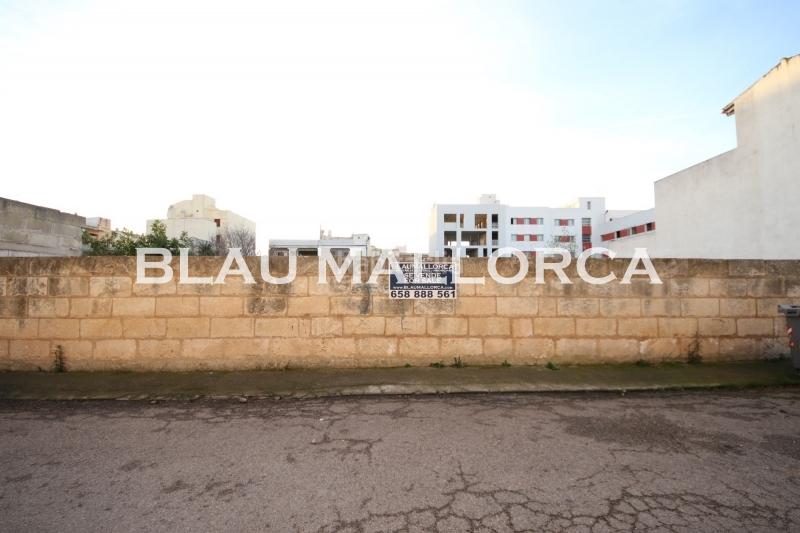Foto b764983e-c54e-41ab-9f52-dbb294d79a4e. Finca rústica a Manacor centre Manacor