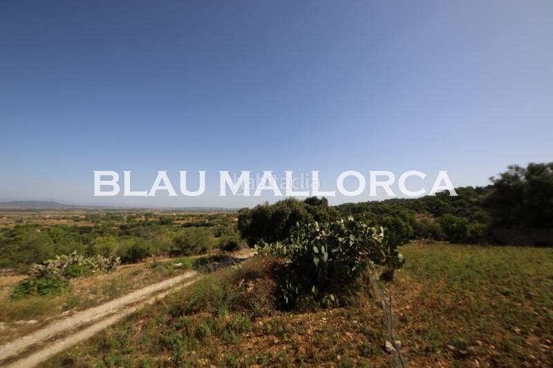 Foto 1880dcfb-47e0-4dec-aa78-76cb31f6e461. Casale in Manacor centre Manacor