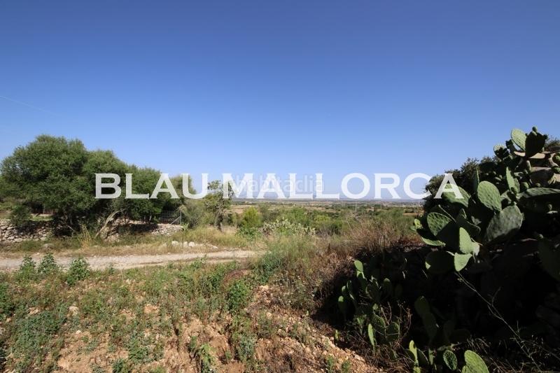 Foto 716890d9-efc8-412c-91e1-5bc434ccab67. Casale in Manacor centre Manacor