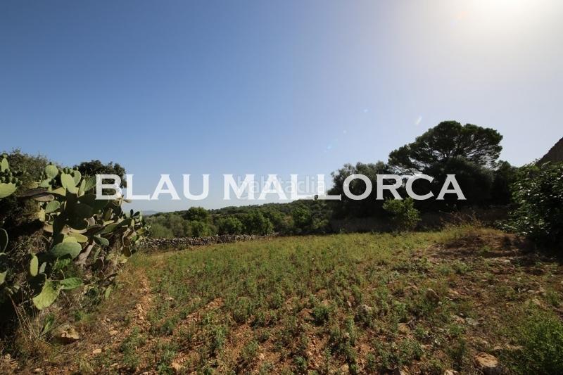 Foto 75293437-8dc4-4c69-918d-5013ad8a518a. Casale in Manacor centre Manacor