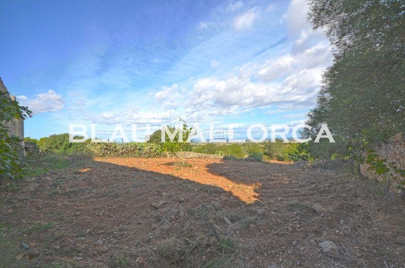 Foto f9c5fa3e-7c5e-4a71-927d-f5143874887d. Casale in Manacor centre Manacor