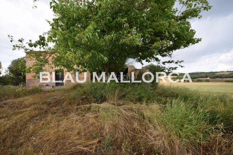 Foto 3f0190da-a6a8-4cfe-8e22-64b59facee62. Masia a Manacor centre Manacor