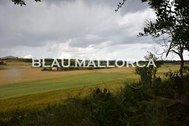 Foto eebd3d44-618b-4c87-9e4e-a0a7fa1e104a. Masia a Manacor centre Manacor