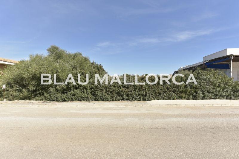 Foto 23a1b61b-21dd-4c9f-8014-db063a7eec1d. Finca rústica a Cala Magrana-Cala Anguila-Cala Mendia Manacor