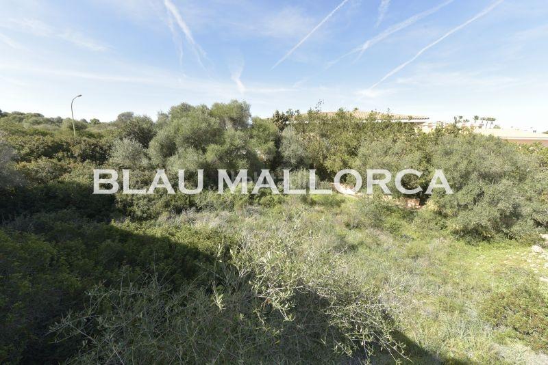 Foto eae575d0-a523-4d79-b77c-5b560d95443f. Finca rústica a Cala Magrana-Cala Anguila-Cala Mendia Manacor