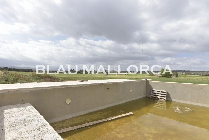 Foto 3dfcc822-b8f1-4ab3-a5ad-90b88cde6756. Masía finca en Manacor centre Manacor