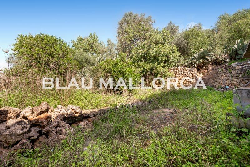 Foto 9993d642-7c0e-428a-ac22-56ee29bac2df. Mas dans Manacor centre Manacor