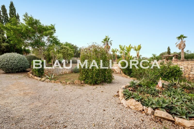 Foto 0bec6931-516e-479b-aa68-3a5a6eb8750d. Masia a Cales de Mallorca Manacor