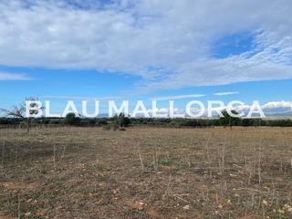 Finca rústica a Manacor Centre. Terreno con vistas buenas vistas en manacor