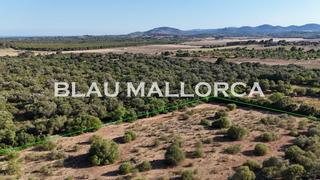 Finca rústica en Sant Llorenç des Cardassar. Terreno edificable en san llorenã des cardassar