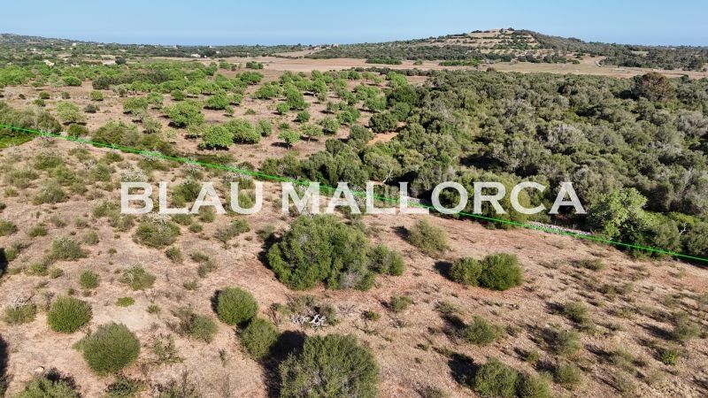 Foto 7b025209-b643-4215-b352-95fbb1052025. Finca rústica a Sant Llorenç des Cardassar