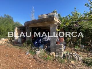 Finca rústica a Manacor Centre. Terreno en manacor