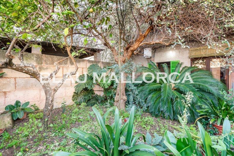 Foto 6626d273-4cd3-4f10-bf44-233dd4c39ae2. Casa bifamiliare in Manacor centre Manacor