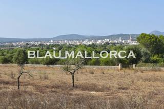 Finca rústica a Manacor Centre