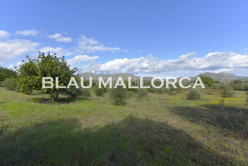 Foto 23b8a0b3-c2a9-4de7-bb7c-37a82eefc907. Finca rústica a Sant Llorenç des Cardassar