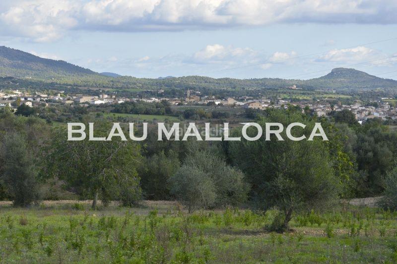 Foto 5a8c9333-4657-49f4-aeaa-f9af6885cdb1. Finca rústica a Sant Llorenç des Cardassar