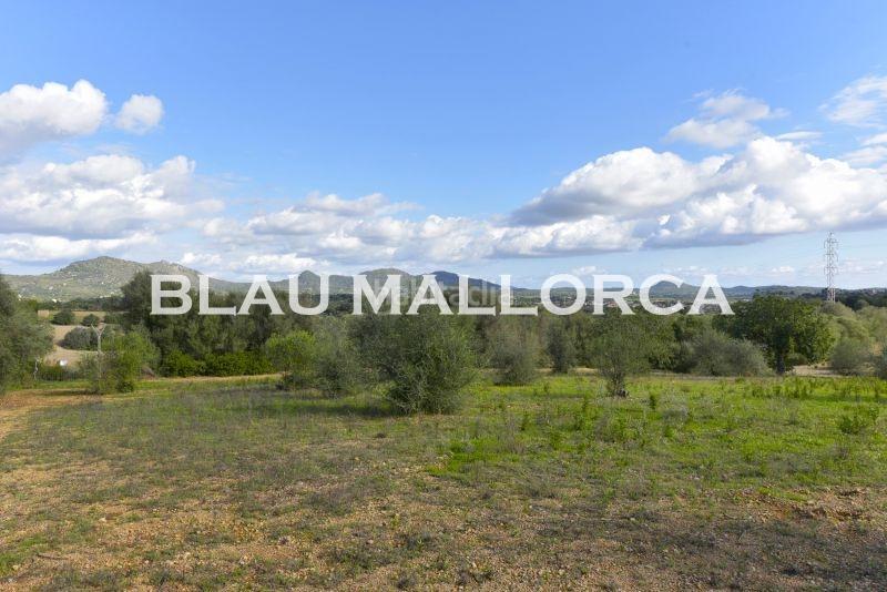 Foto c1294ec6-97e3-4799-a7cc-766fe07f2cc7. Finca rústica a Sant Llorenç des Cardassar