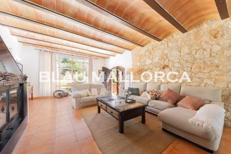 Foto 8145c432-f642-41b0-98dc-5abd7da9d1f8. Mas dans Manacor centre Manacor