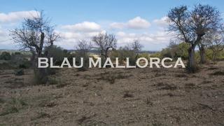 Rural plot in Ariany