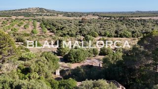 Fondo rustico in Sant Llorenç des Cardassar. Terreno con licencia para construir en sant llorenc