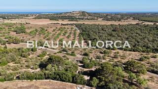 Landgut in Sant Llorenç des Cardassar. Terreno con proyecto para construir una vivienda en sant llorenã