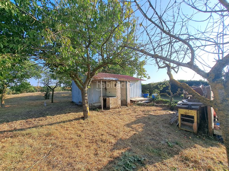 Foto 7ce3721e-fd6c-4f47-ad83-a07740e0927f. Terreny residencial a Anguciana