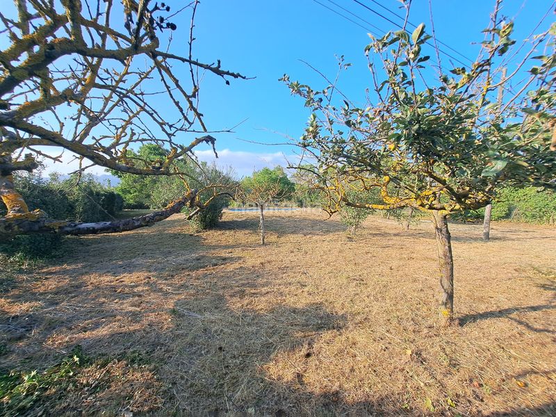 Foto 8ee22c88-796b-40c4-99d5-187dcdd83795. Terreny residencial a Anguciana