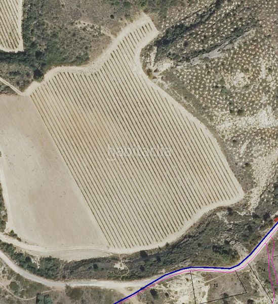 Foto 5dd441d6-3b13-4a7b-a42b-ad3d2bb9061d. Finca rústica oportunidad. excelente viña de 17.304 m2 en el precio de 60.000 €. en Labastida