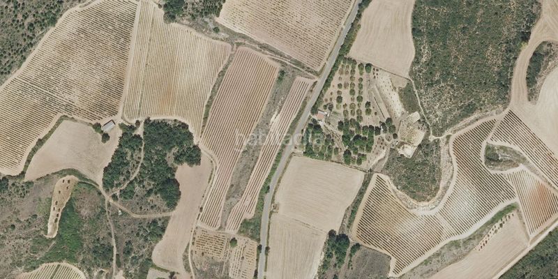 Foto da8e2979-7c7a-4b30-b7ee-2cd83a97fbfb. Finca rústica oportunidad. excelente viña de 18.034 m2 en el precio de 60.000 €. en Labastida