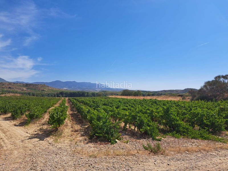 Foto c8f6737a-4873-44b8-b18f-dd7b01ef7690. Finca rústica a Haro
