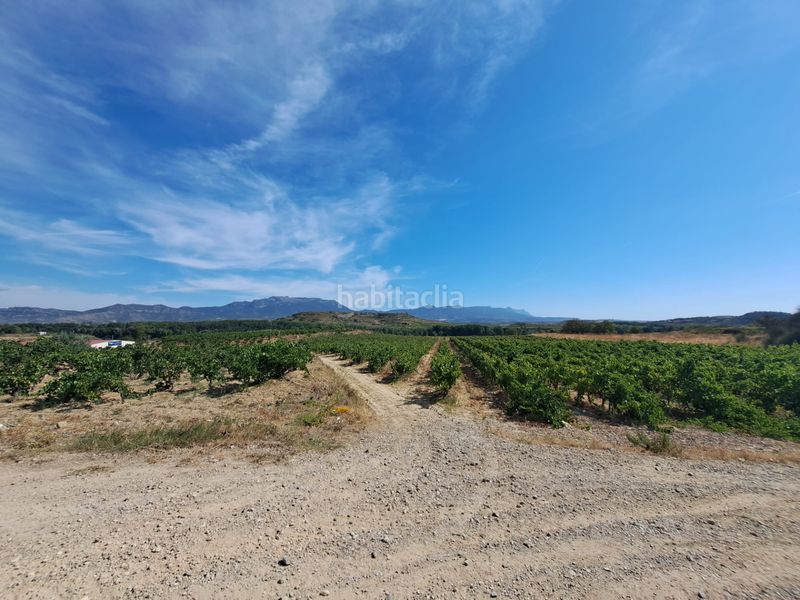 Foto fdfd419e-96e1-4519-9f1d-7134eee362c1. Finca rústica a Haro