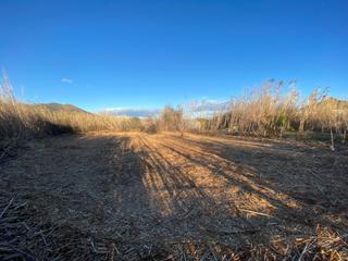 Finca rústica a Port de la Selva (El). Huerto en venta