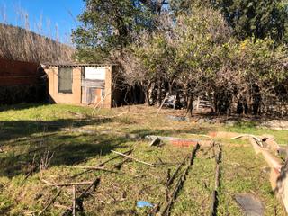 Landgut  Diseminado afores. Huerto en venta