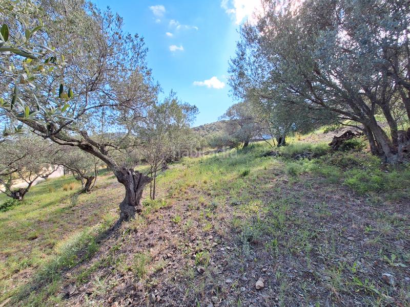 Foto 0ad87876-a112-4343-99c1-84e38122b7d8. Terreny residencial a urbanitzacio clotes 37 a Selva de Mar (La)