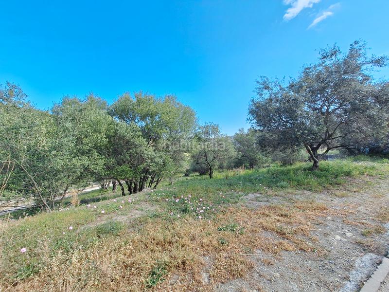 Foto 85668fed-9be1-4373-a852-b85f1303a366. Terreny residencial a urbanitzacio clotes 37 a Selva de Mar (La)