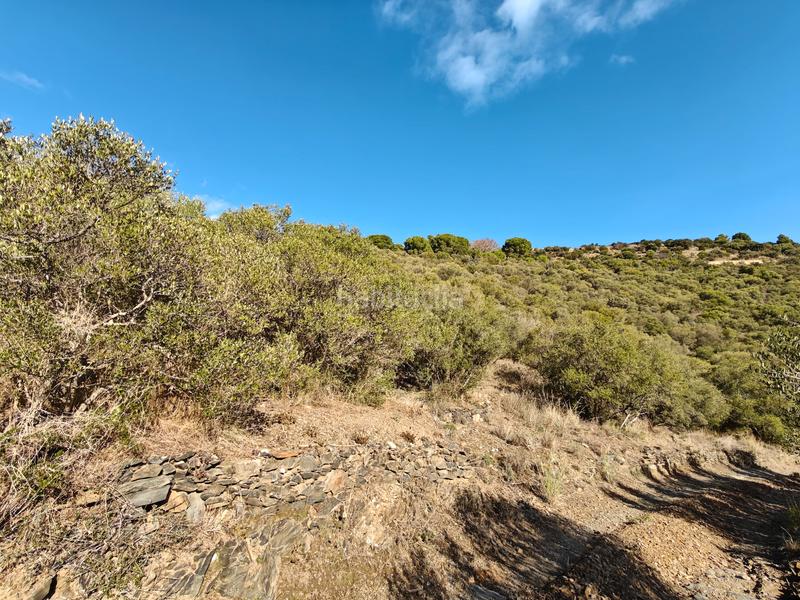 Foto 1c08f368-f44d-4be9-bb4c-99d240794794. Propriété dans Port de la Selva (El)