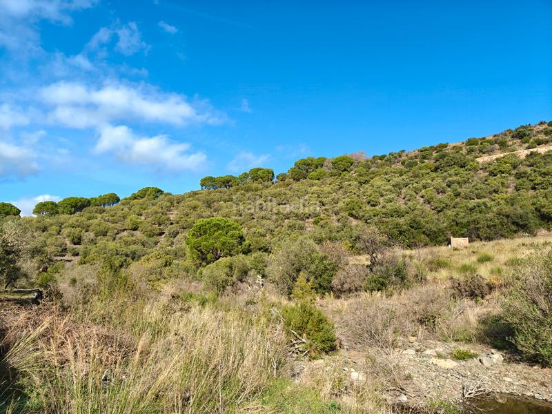 Foto 46fdd676-94e2-4e2f-8eed-2762681907cc. Propriété dans Port de la Selva (El)