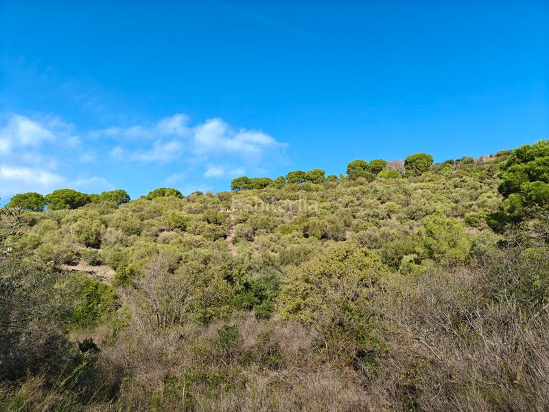 Foto 625a06bb-1f21-4e52-a5b5-47828dc5f934. Propriété dans Port de la Selva (El)