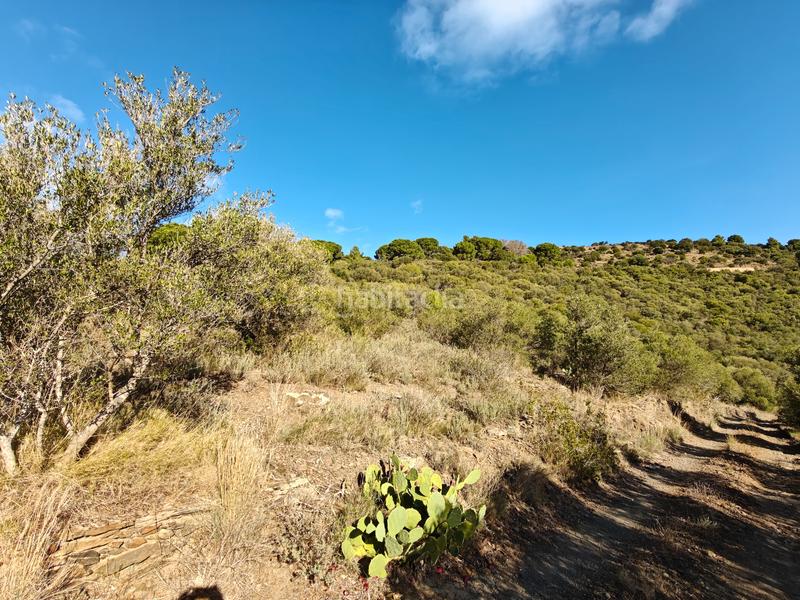 Foto 77ace8ec-e249-492b-87cf-f25262145728. Propriété dans Port de la Selva (El)