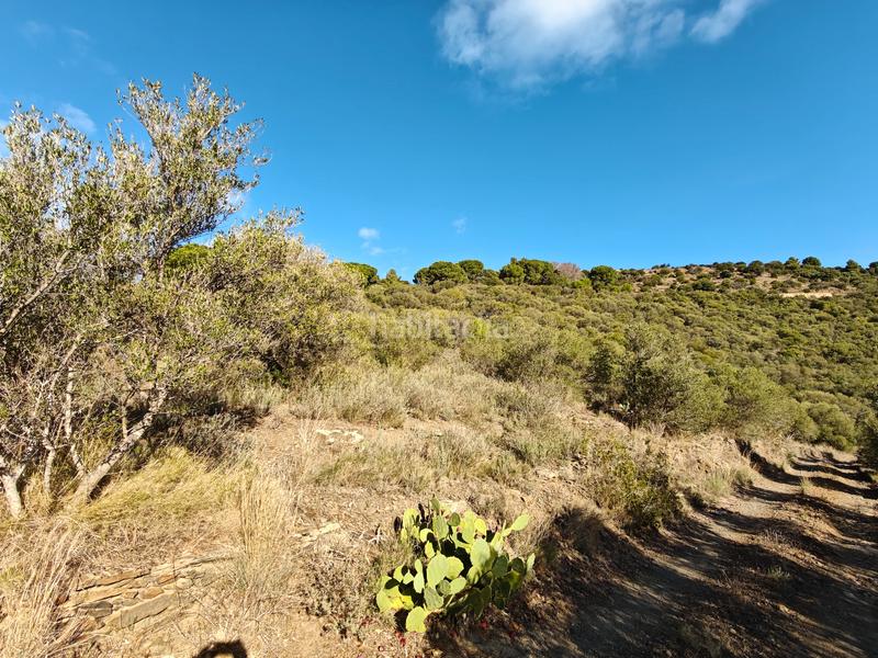Foto 974a5e76-538c-4f07-b686-1126a5b9c9e6. Propriété dans Port de la Selva (El)