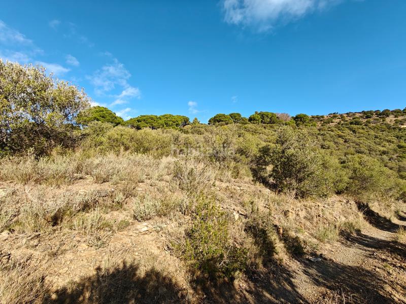 Foto cc5f65ec-dd10-4051-aec6-eae998e1d466. Propriété dans Port de la Selva (El)