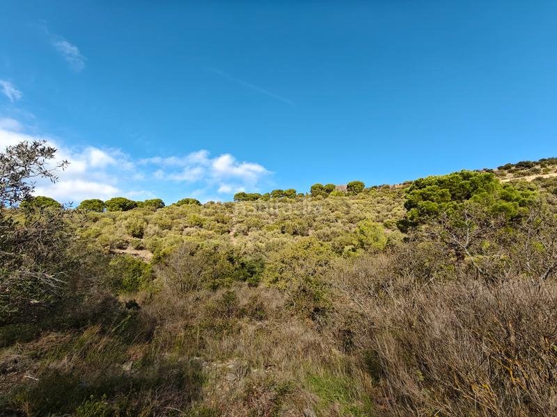 Foto ce6d2719-244c-427d-bd27-308615ec1696. Propriété dans Port de la Selva (El)