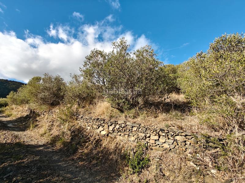 Foto de0405d4-99f8-4761-9484-e12f02552ac3. Propriété dans Port de la Selva (El)