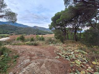 Finca rústica en Port de la Selva (El). Finca rústica en venta en port de la selva