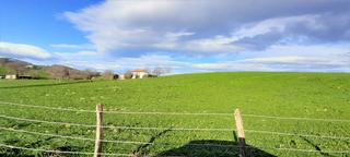 Fondo rustico en Ribamontn al Monte. Finca rustica de 5 hectareas con vivienda