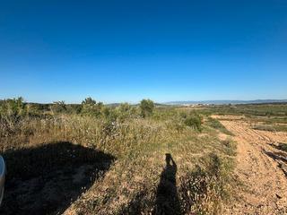 Finca rústica a Camí de rodonya 3. ¡oportunidad única! finca rústica en venta en rodonyà – 10.000 m