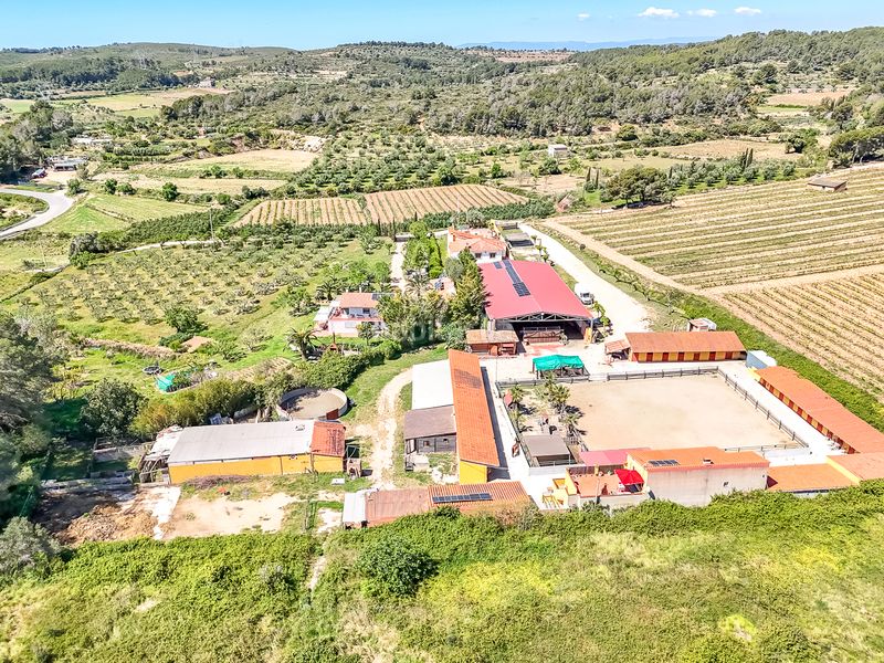 Foto 1a7a29b2-3b53-45b3-922d-72075e9df06b. Finca rústica a Bonastre